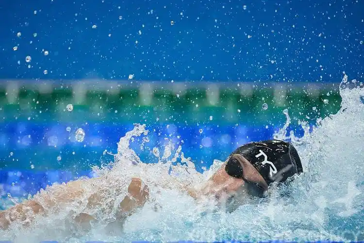 游泳世锦赛男子800米自由泳决赛赛况