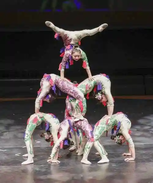 属于众多杂技项目中的一种,与其他杂技演出不同的是,柔术是通过演员