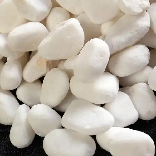 优质白色小石头 白玉石 别墅园林铺路装修专用 白色鹅卵石批发