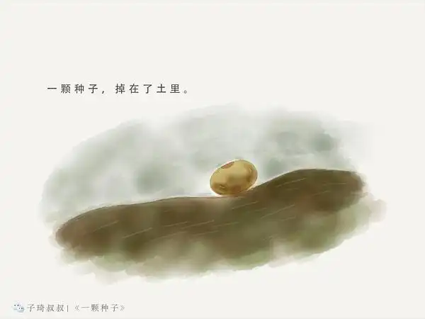 石井镇鸭汪幼儿园:绘本故事《一粒种子》