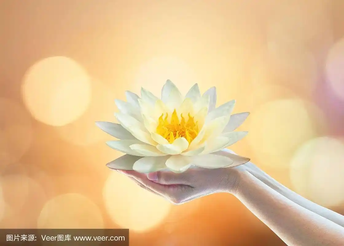 佛斋节,佛诞节,佛祭节,和世界人类精神观念与女人prayer的手握莲花水