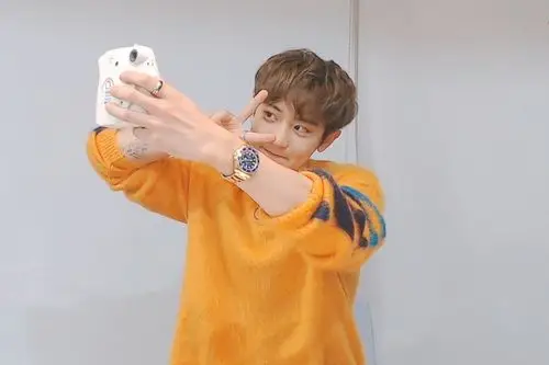 朴灿烈 多芬 - 堆糖,美图壁纸兴趣社区