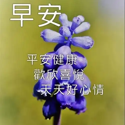 很好看的早安问候祝福动态图片大全,早安图片大全最新-质信十强榜