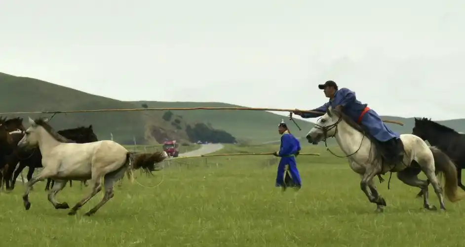 蒙古汉子套马杆