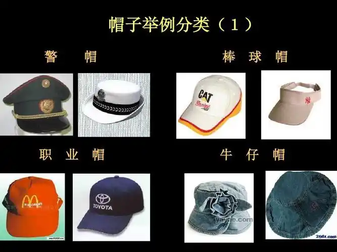 帽子举例分类(1) 警 帽 棒 球 帽 职 业 帽 牛 仔 帽