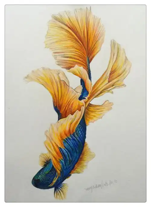 彩铅动物作品 - 博文手绘 - 原创作品 - 视觉中国(爱视觉)