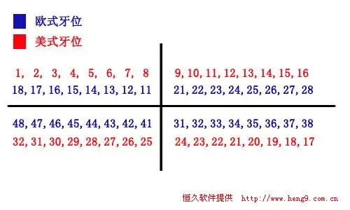 牙位表示法是牙医学中给每颗人类牙齿编号表示的方法.