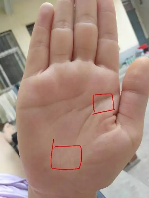 生命线短意味着什么 小孩生命线短会变长吗