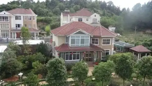 号称能发功治病的"大师"王林病死了 细看他的多处豪宅