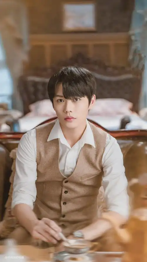 林彦俊一见倾心民国剧照