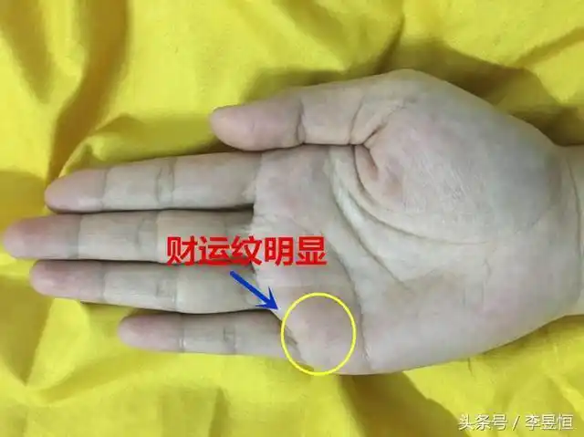 手相中的12大财富纹,你有几个中标了?(一)