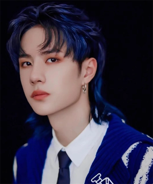 华晨宇是鲻鱼头的爱好者,很长一段时间不管是综艺造型,还是活动造型都