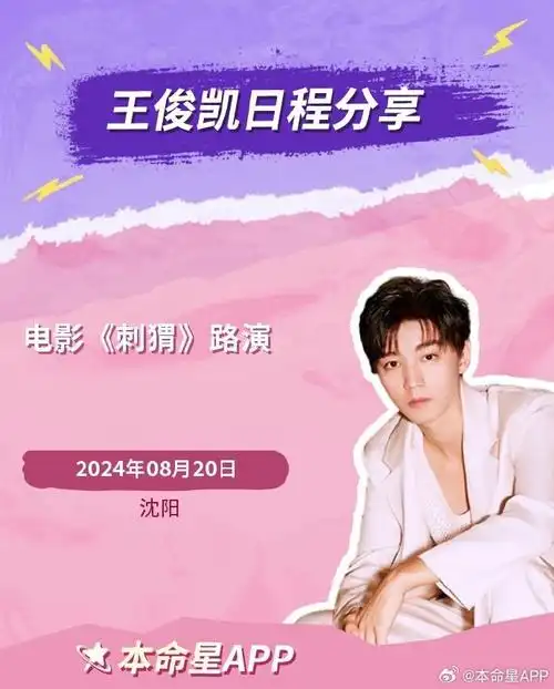 王俊凯电影刺猬