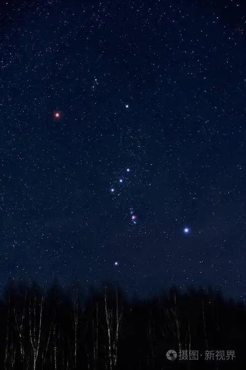 冬日白桦林上方的星空和猎户座