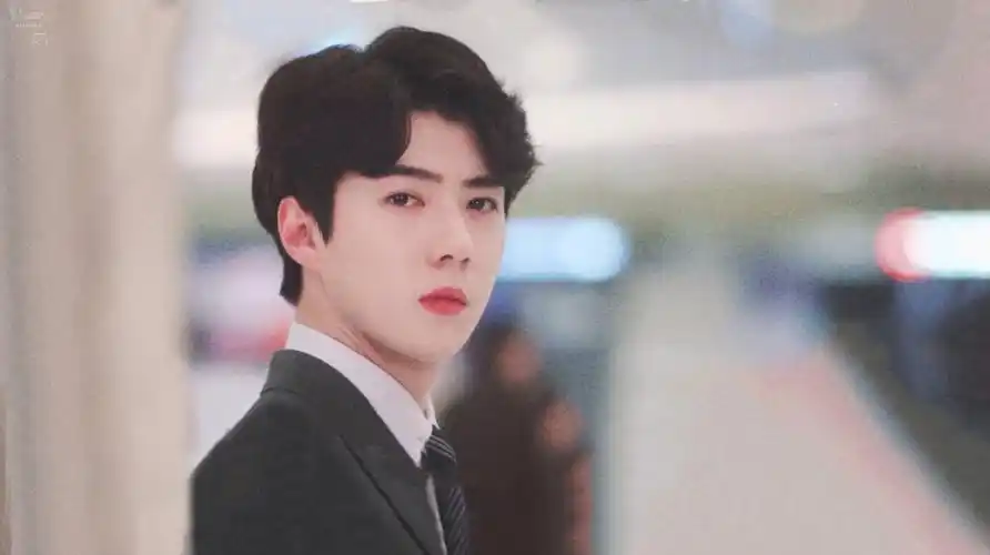 【定制文/吴世勋】一见钟情