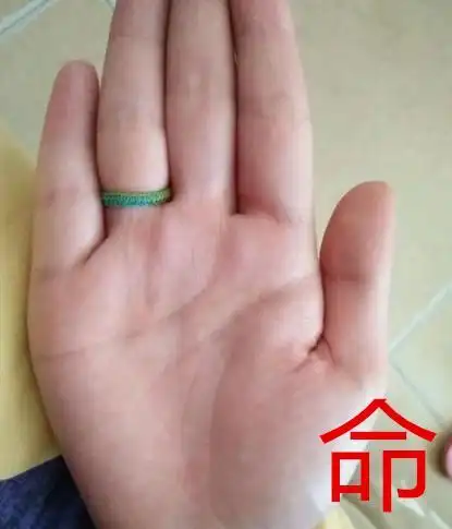 有两条生命线的手相,必定是长寿之人