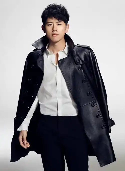 中国内地流行男歌手张杰