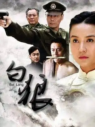 省委书记_电视剧_高清在线观看-pp视频-原pptv聚力视频