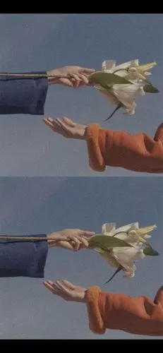 【手机壁纸】聊天背景 ins风 拼接系列 手控