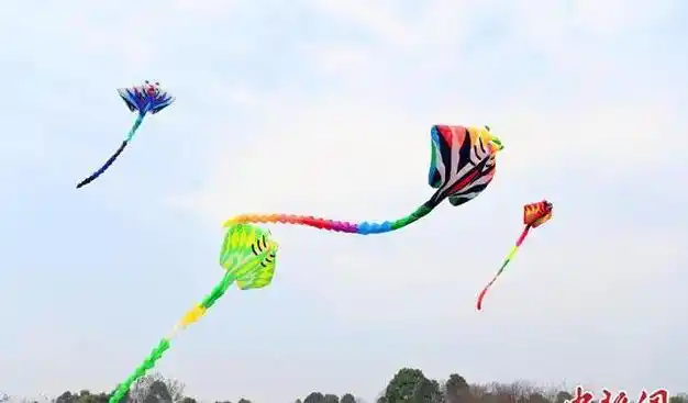 2024四川·崇州国际风筝邀请赛开赛|安源|放风筝|成都市体育局_网易订