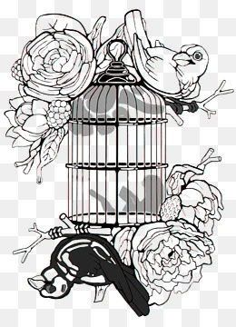 矢量鸟笼