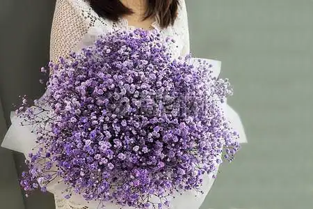 唯美可爱抱满天星花束的女孩背景背景