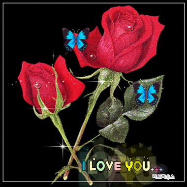 动态漂亮的玫瑰花素材〖动态美图