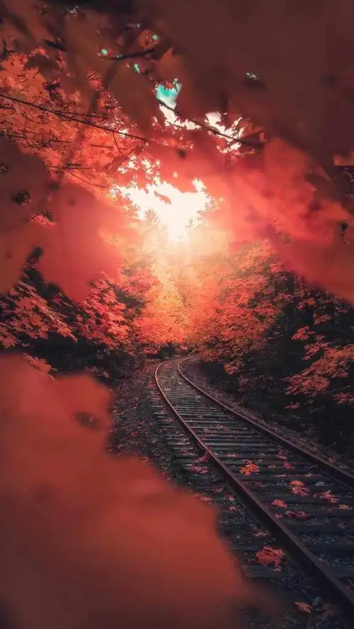 哪些壁纸可以一眼体现出你的内涵和品味?