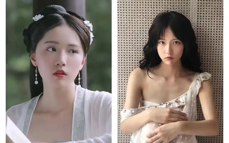 【诸葛大力】终于集齐了大力的前世今生!