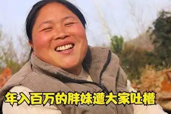 陈说美食的胖妹月收入_百度视频搜索