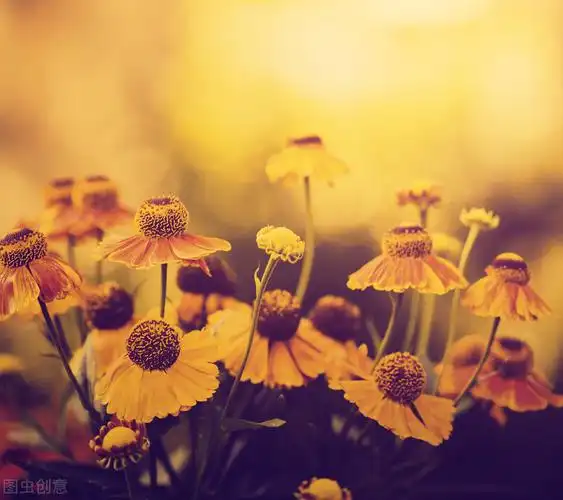 原创说说正能量句子激励人心的话阳光明媚让人心情明朗