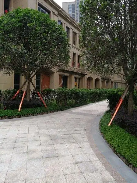 龙湖西宸原著(别墅)