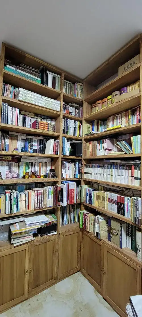 整理书架崩溃中