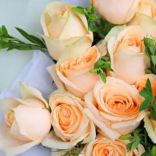 爱要大声说出口21枝香槟玫瑰韩式花束