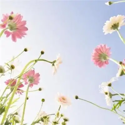 2021带来好运的微信头像图片 漂亮高清