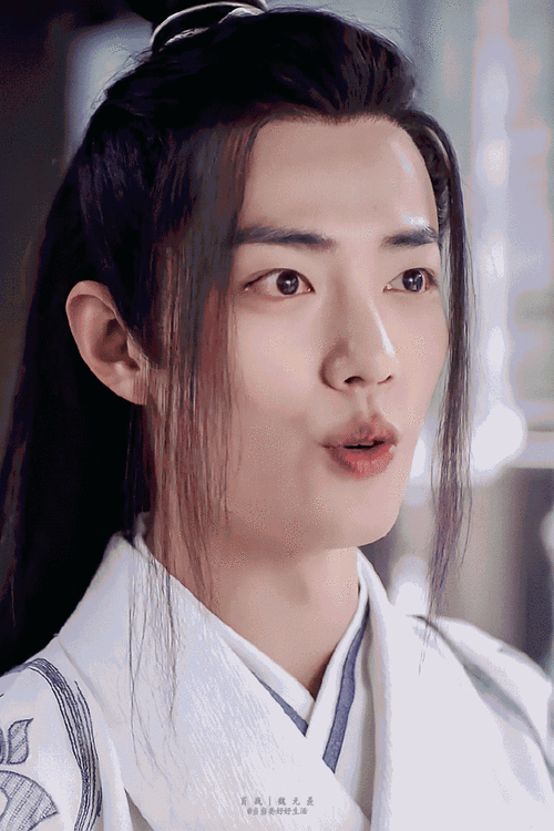 肖战##肖战魏无羡##肖战陈情令