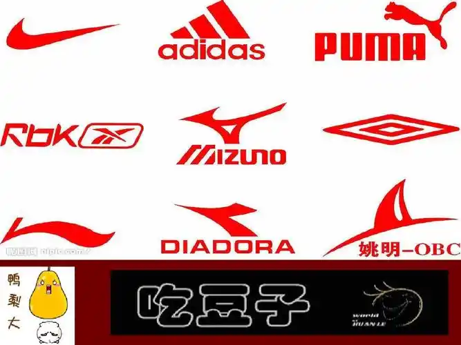 李宁品牌策划分析报告ppt