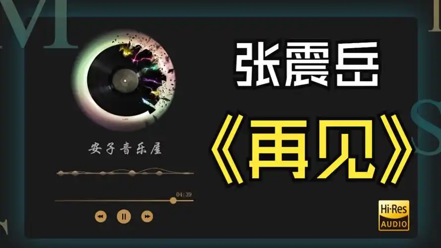 【hi-res音乐黑卡】再见 - 张震岳
