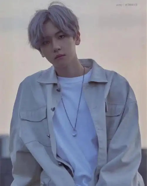 边伯贤-exo神图-话本小说网