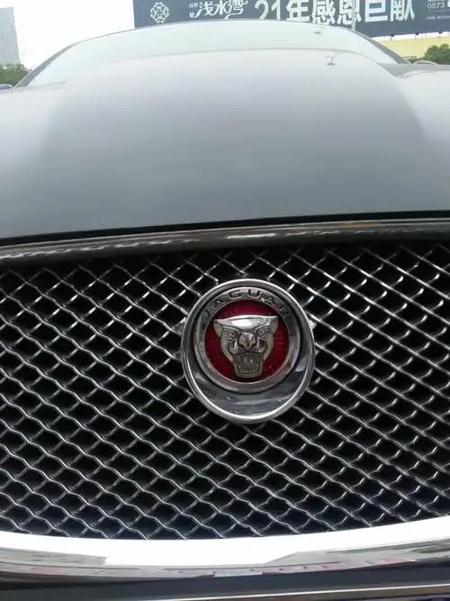 这个豹子头是什么车?