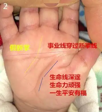 算网杨兴志手相算命,这种手相的孩子都是好命之人!微:261817098