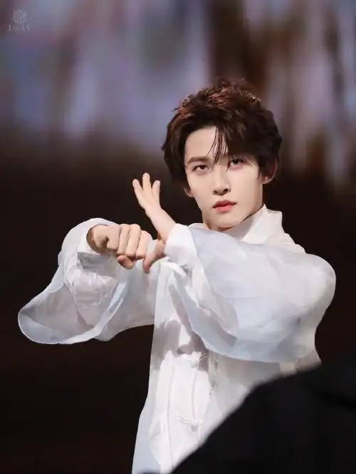 四川卫视新年演唱会##刘宇国风美少年