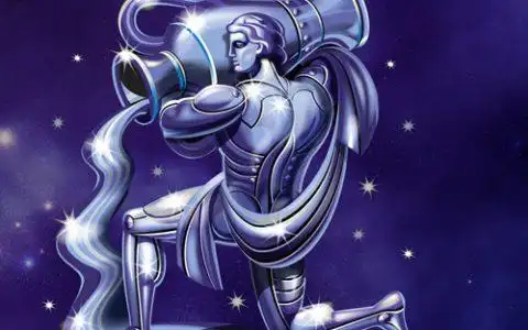 水瓶座最佳配对,水瓶座男生的最佳配对