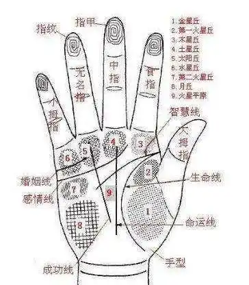 古相法三大秘技:如何看财运,横祸,牢灾?_手掌_部位_生命线