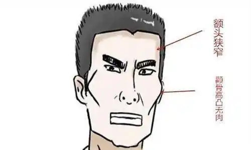 面相_性格_过往