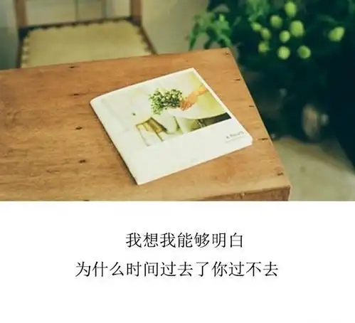 唯美意境高清文字语录图片