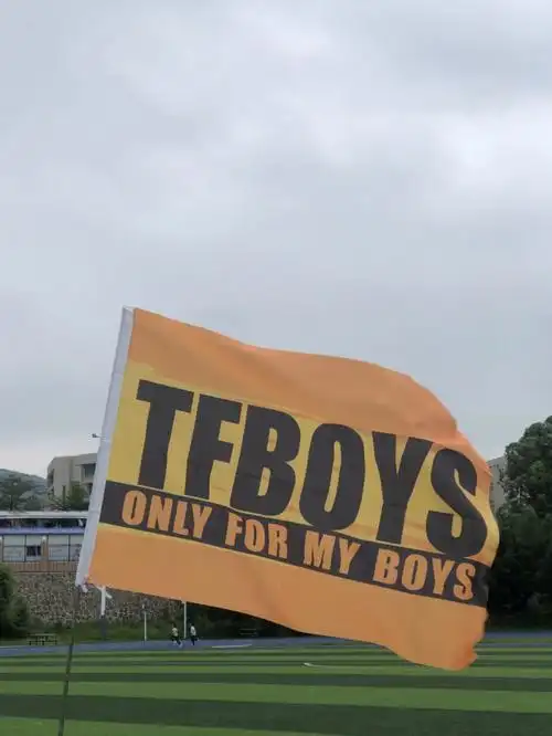 tfboys全国高校巡回演唱会