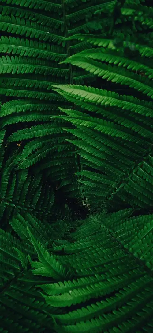 1125_2436竖版 竖屏