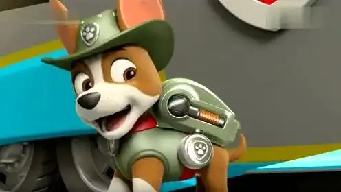 小克加入汪汪队,小克听力超级棒,小克用超级听力找小曼