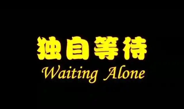 夏雨主演独自等待中五种情感模式有你的类型吗